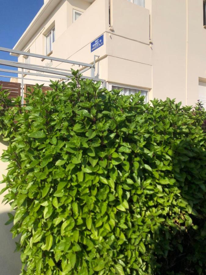 Sunny Holiday By Konnos Paralimni Exterior photo